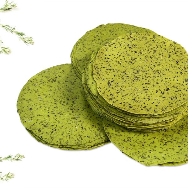 Special Pudina Papad