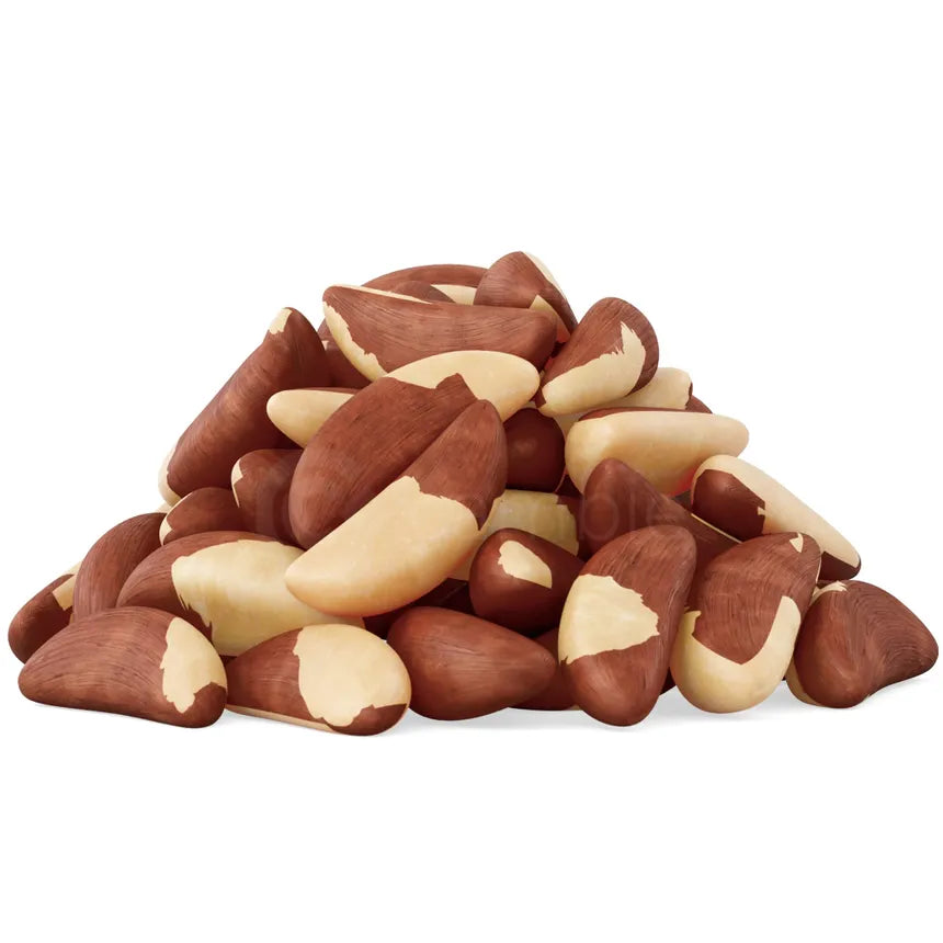Premium Brazil Nut
