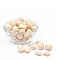 Macadamia Nuts