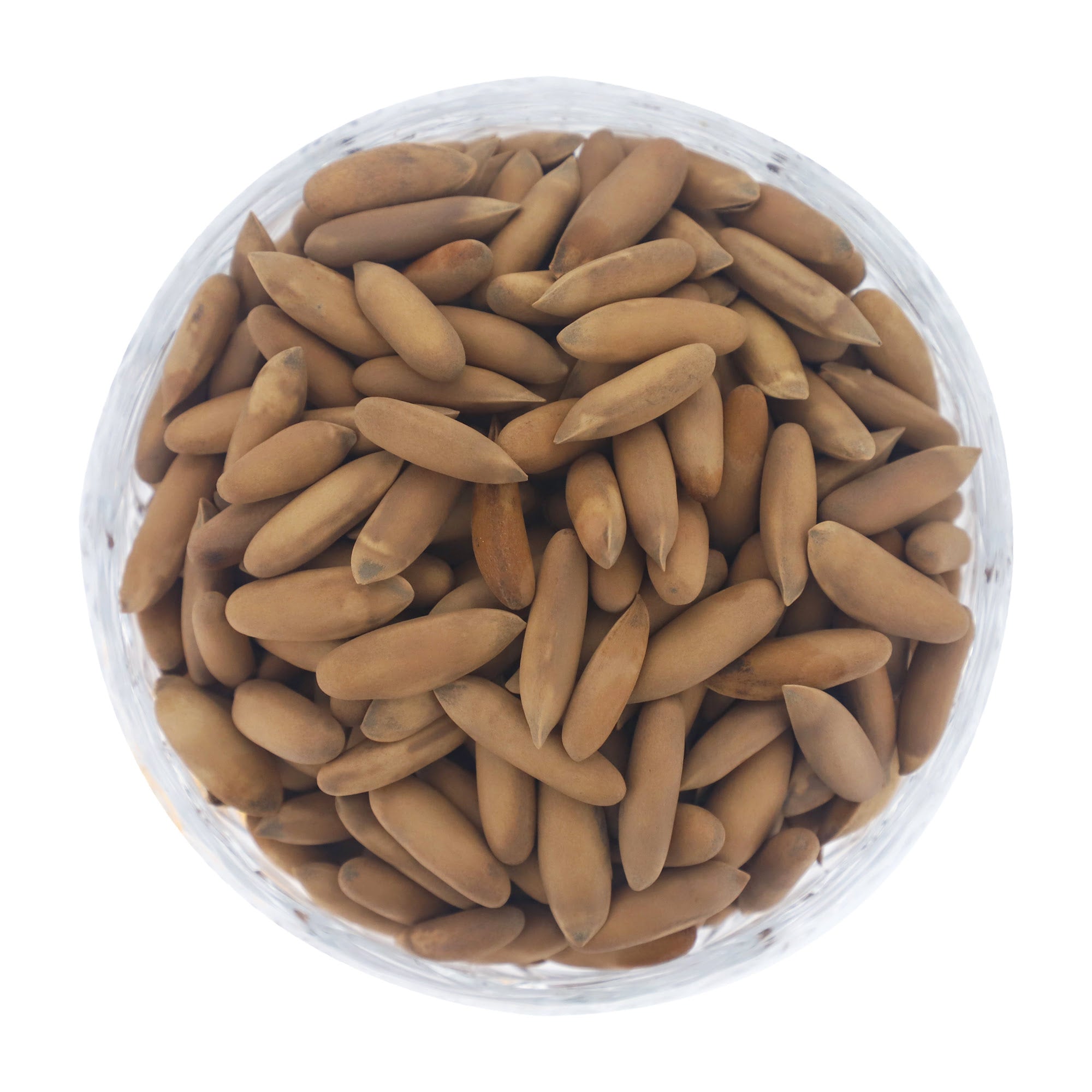 Pine Nuts With Shell