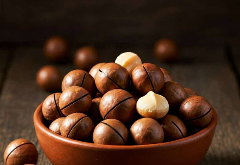 MACADAMIA NUTS IN SHELL